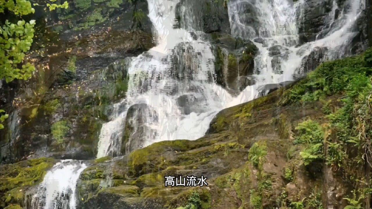 为什么痘痘总是长不停？怎样调理身体才能不长痘呢？